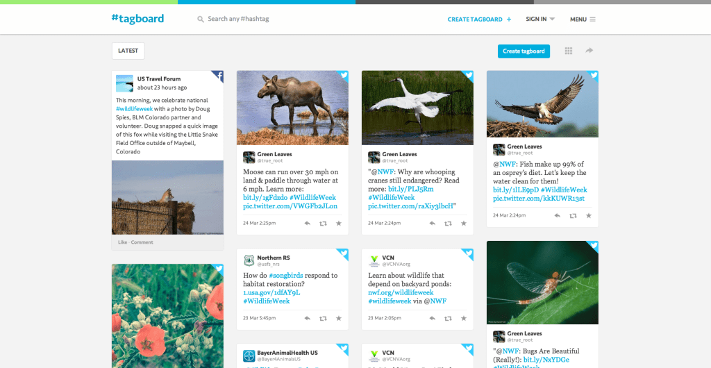 #WildlifeWeek on Tagboard