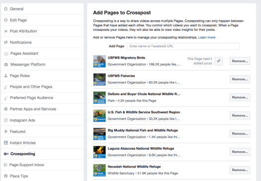 Screen Shot 2017-06-17 at 11.00.27 PM