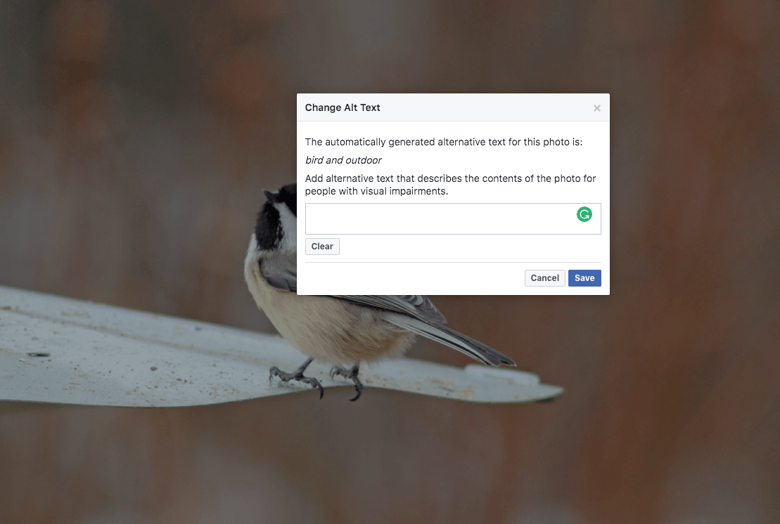 Screen Shot 2018-02-06 at 12.46.13 PM