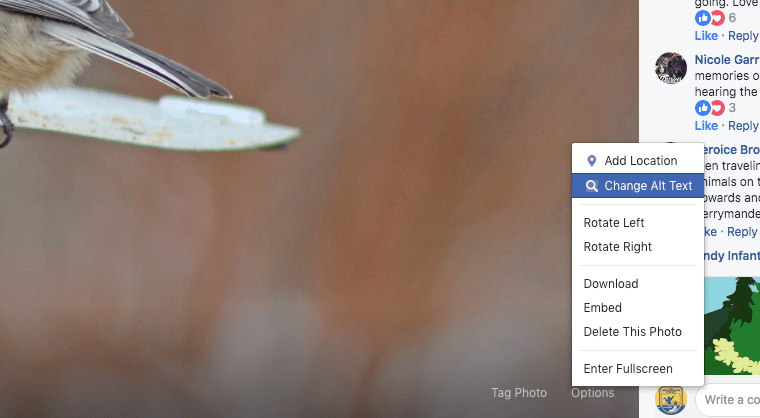 Screen Shot 2018-02-06 at 12.46.21 PM