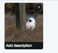 image showing where to add a description