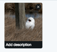 image showing where to add a description