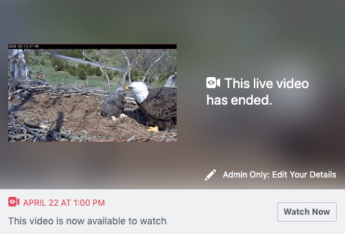 Photo of an eagle and eaglet in a nest next to words that say 